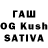 Псилоцибиновые грибы GOLDEN TEACHER Kraih