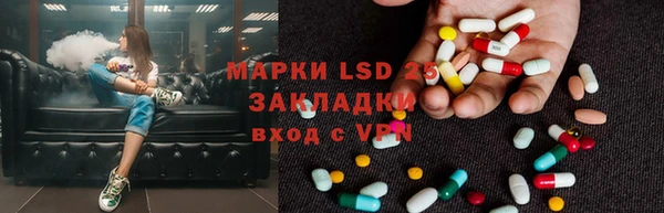 крисы Алексин