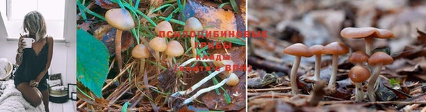 ешки Алексеевка